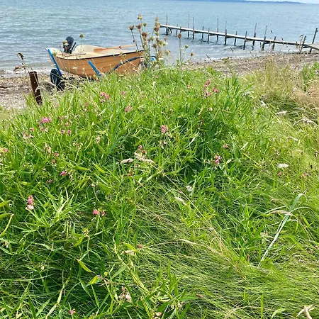 Lovely Near The Limfjord Thyholm