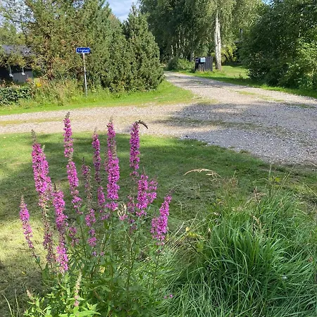 Lovely Near The Limfjord Thyholm