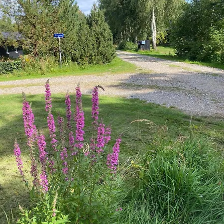 Lovely Near The Limfjord Hébergement de vacances *